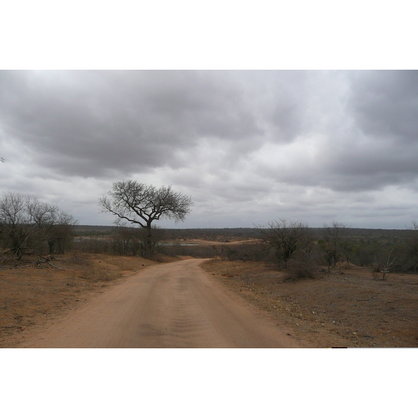 Picture South Africa Kruger National Park Mpondo 2008-09 25 - History Mpondo