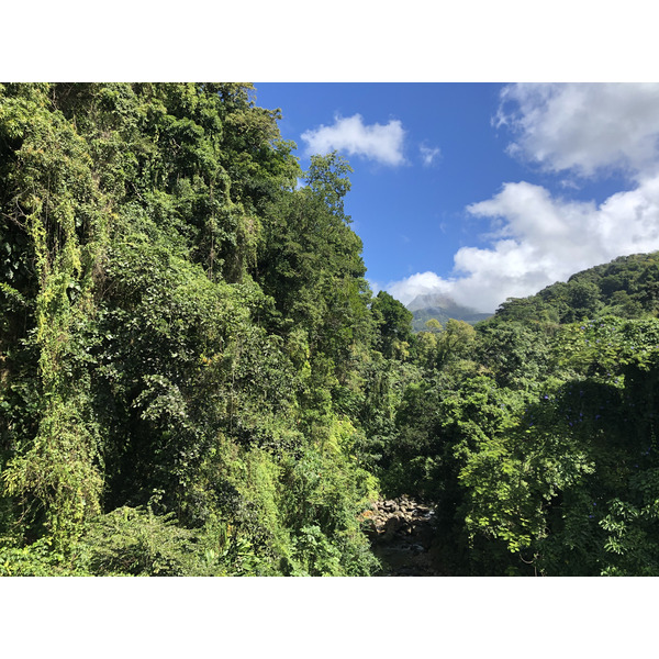 Picture Guadeloupe La Grande Soufriere 2021-02 43 - Tours La Grande Soufriere