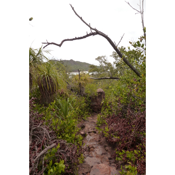 Picture Seychelles Curieuse 2011-10 13 - Recreation Curieuse