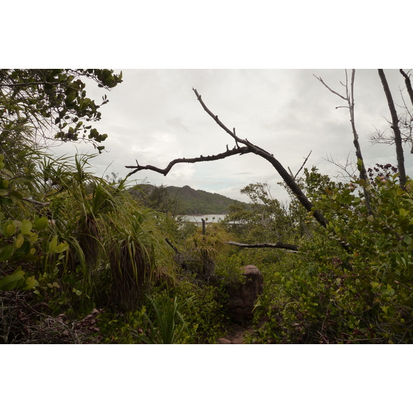 Picture Seychelles Curieuse 2011-10 9 - Tours Curieuse