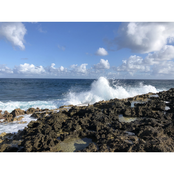 Picture Guadeloupe Castle Point 2021-02 190 - Around Castle Point