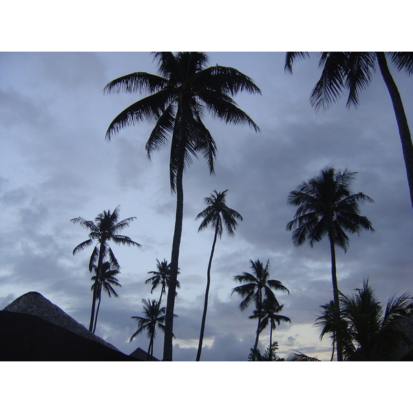 Picture Polynesia Moorea Pearl Resort Hotel 2006-04 0 - Around Pearl Resort Hotel