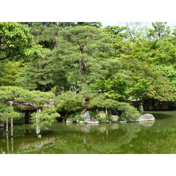 Picture Japan Kyoto Kyoto Imperial Palace 2010-06 60 - Center Kyoto Imperial Palace