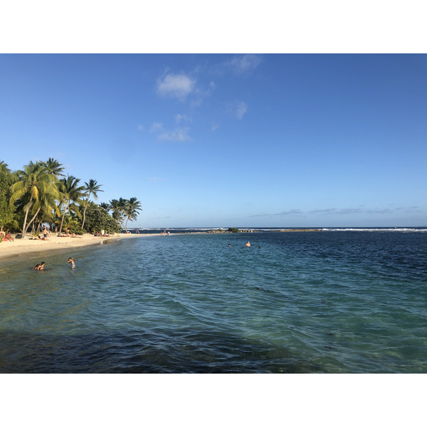 Picture Guadeloupe La Caravelle Beach 2021-02 140 - Tours La Caravelle Beach