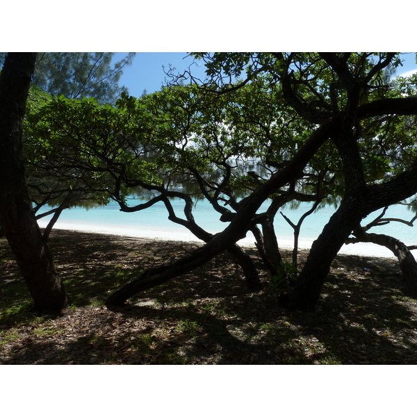 Picture New Caledonia Lifou Luengoni Beach 2010-05 33 - History Luengoni Beach