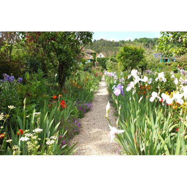 Picture France Giverny 2013-06 119 - Tours Giverny