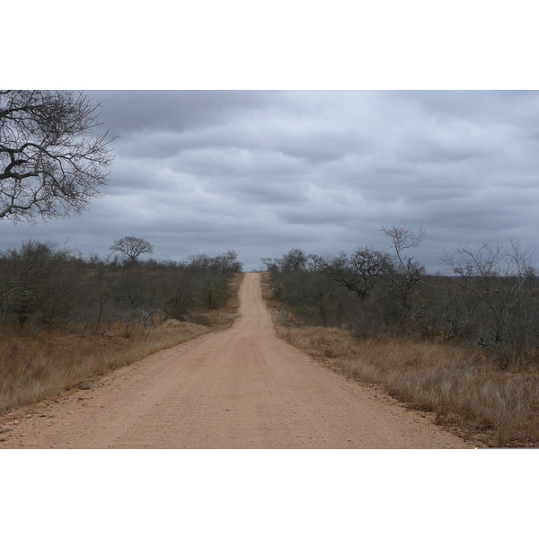 Picture South Africa Kruger National Park 2008-09 61 - Tour Kruger National Park