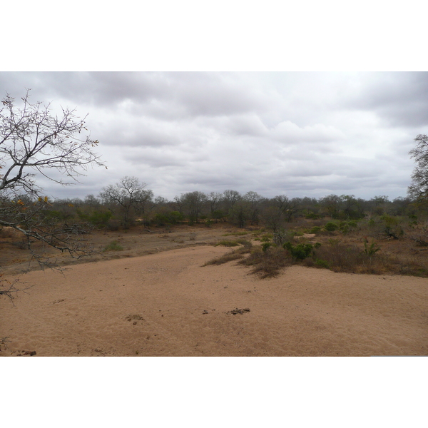 Picture South Africa Kruger National Park 2008-09 157 - Journey Kruger National Park