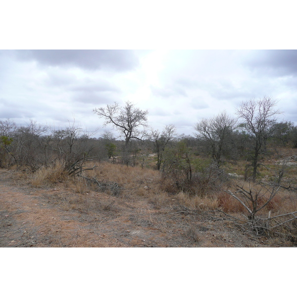 Picture South Africa Kruger National Park 2008-09 120 - Center Kruger National Park