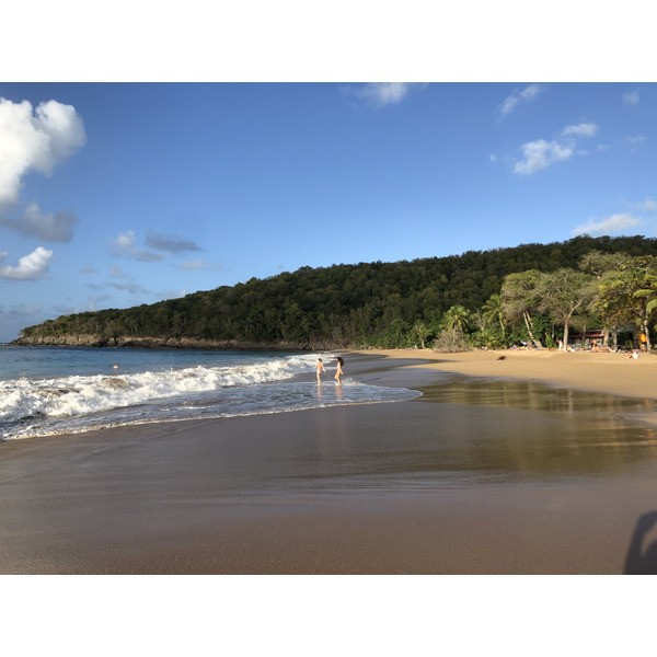 Picture Guadeloupe La Perle Beach 2021-02 5 - Around La Perle Beach