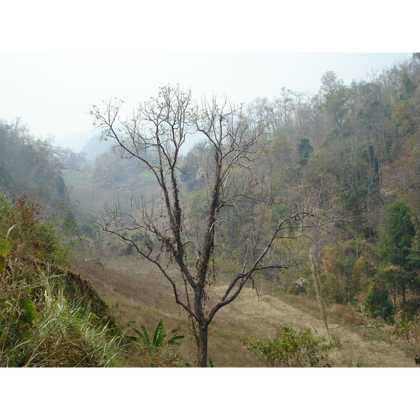 Picture Thailand Pang Mapha to Pai road 2007-02 8 - History Pang Mapha to Pai road