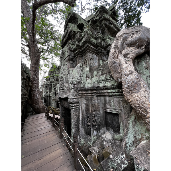 Picture Cambodia Siem Reap Ta Prohm 2023-01 86 - Tour Ta Prohm