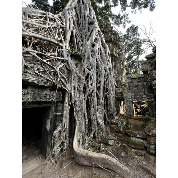 Picture Cambodia Siem Reap Ta Prohm 2023-01 9 - History Ta Prohm