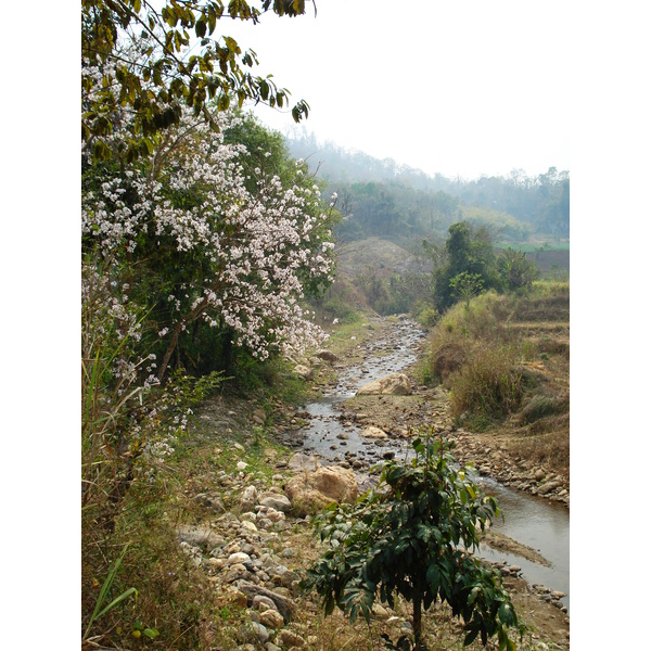 Picture Thailand Pang Mapha to Pai road 2007-02 10 - Tour Pang Mapha to Pai road