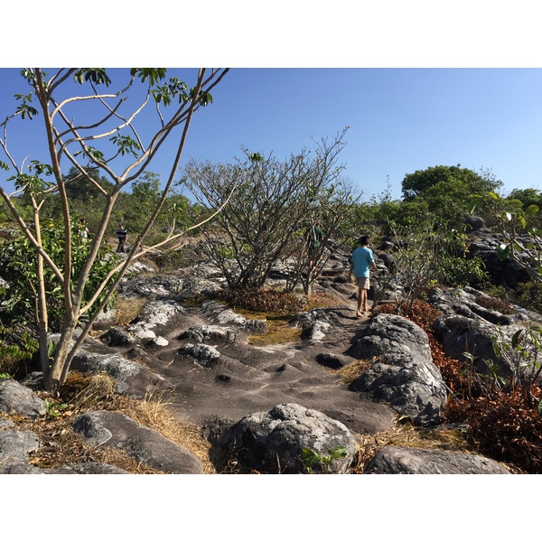 Picture Thailand Phu Hin Rong Kla National Park 2014-12 254 - Around Phu Hin Rong Kla National Park