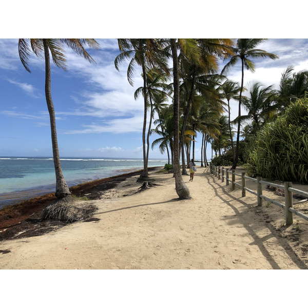 Picture Guadeloupe La Caravelle Beach 2021-02 6 - Tours La Caravelle Beach