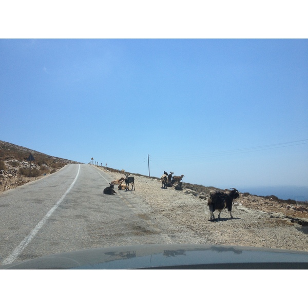 Picture Greece Amorgos 2014-07 227 - Tours Amorgos