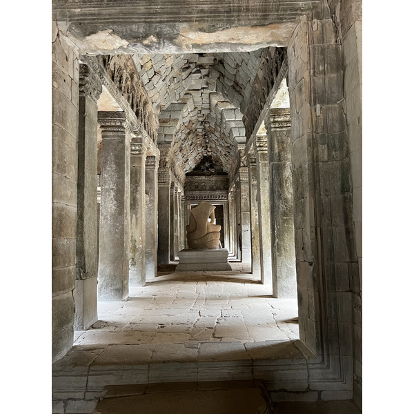 Picture Cambodia Siem Reap Ta Prohm 2023-01 108 - History Ta Prohm