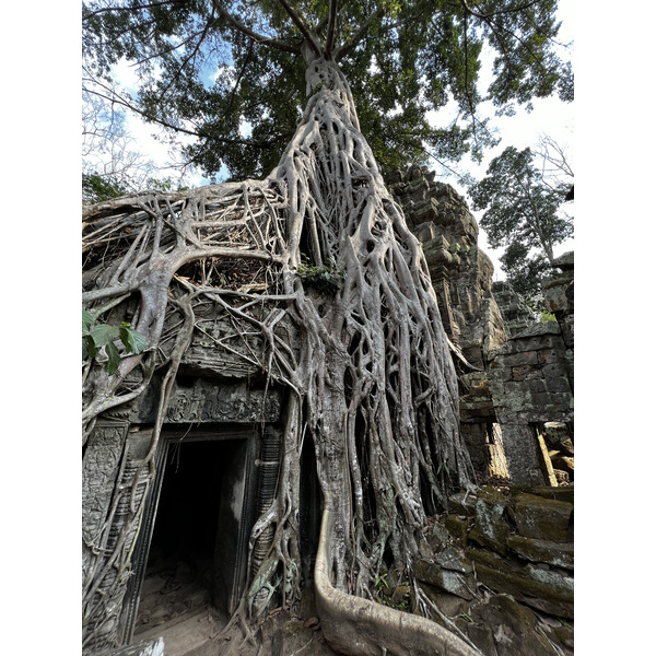 Picture Cambodia Siem Reap Ta Prohm 2023-01 61 - Recreation Ta Prohm