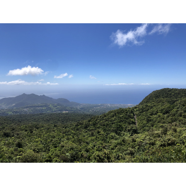 Picture Guadeloupe La Grande Soufriere 2021-02 40 - Center La Grande Soufriere