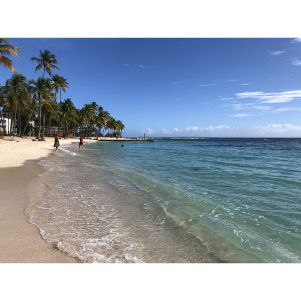 Picture Guadeloupe La Caravelle Beach 2021-02 74 - Tours La Caravelle Beach