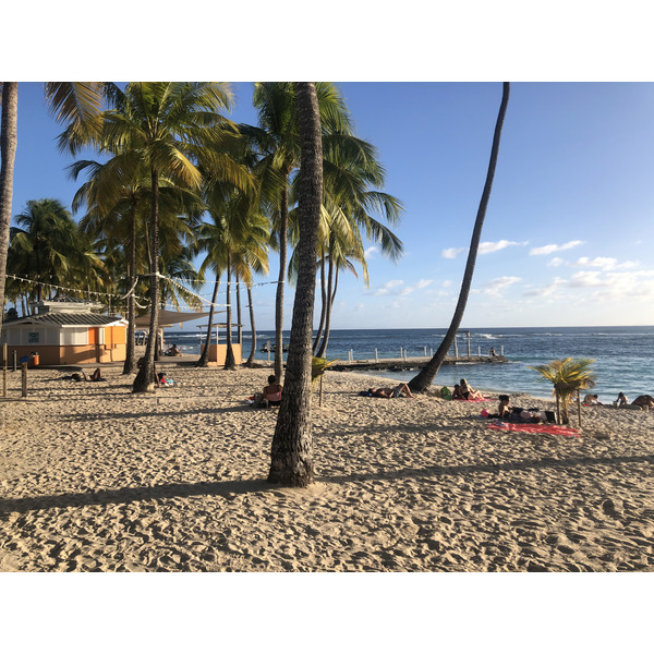 Picture Guadeloupe La Caravelle Beach 2021-02 76 - Around La Caravelle Beach