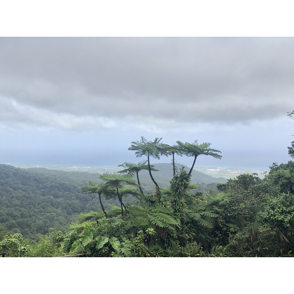 Picture Guadeloupe Carbet Falls 2021-02 12 - Around Carbet Falls