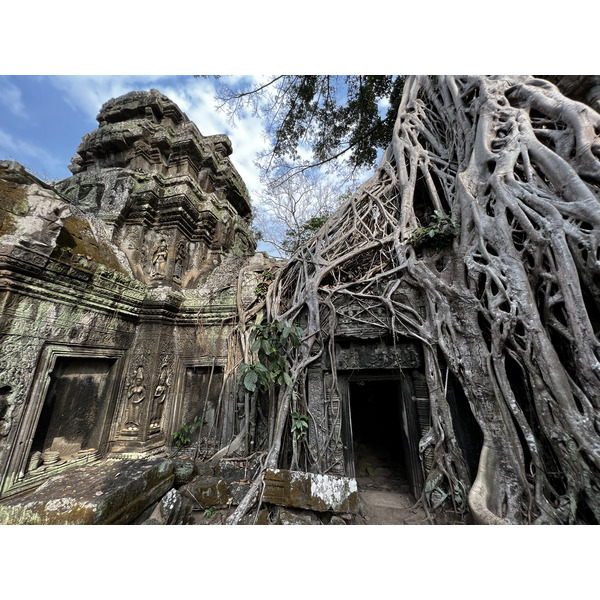 Picture Cambodia Siem Reap Ta Prohm 2023-01 57 - Tour Ta Prohm