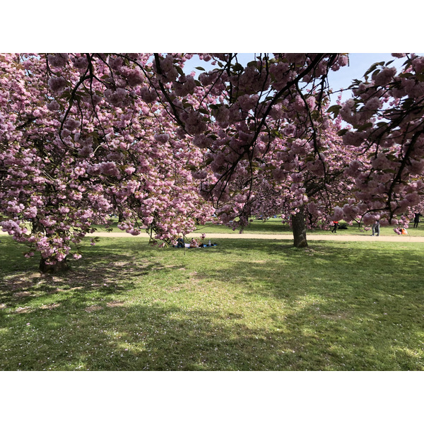 Picture France Parc de Sceaux 2019-04 20 - Around Parc de Sceaux