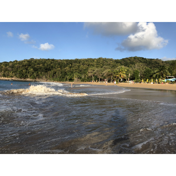 Picture Guadeloupe La Perle Beach 2021-02 113 - Tours La Perle Beach