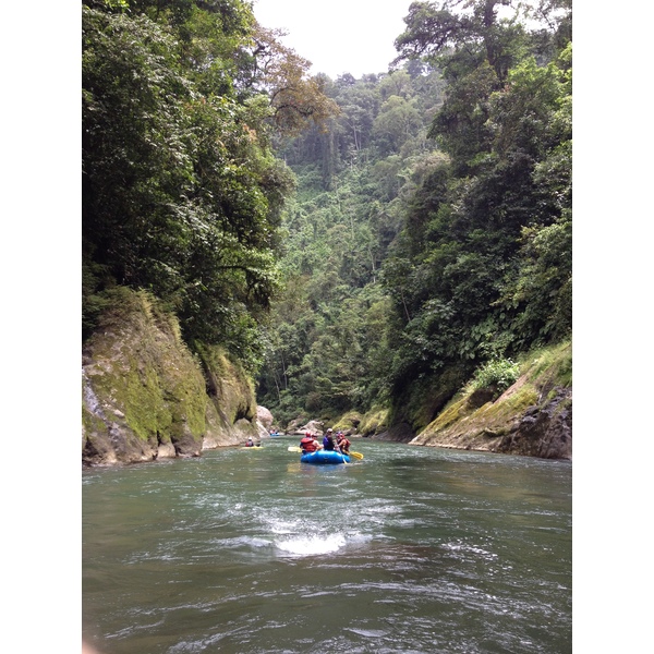 Picture Costa Rica Pacuare River 2015-03 77 - Tours Pacuare River