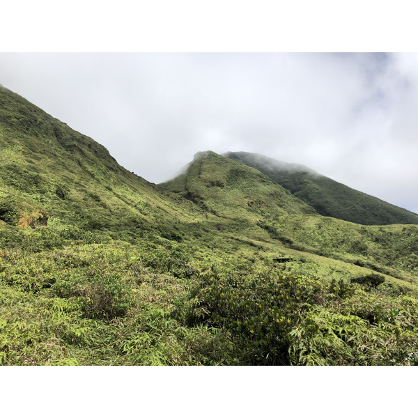 Picture Guadeloupe La Grande Soufriere 2021-02 64 - Center La Grande Soufriere