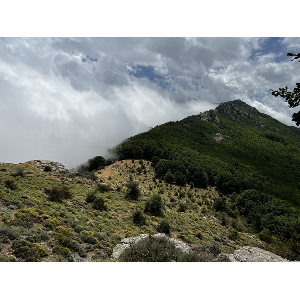 Picture France Corsica Refuge de Callerucciu 2022-06 49 - Center Refuge de Callerucciu