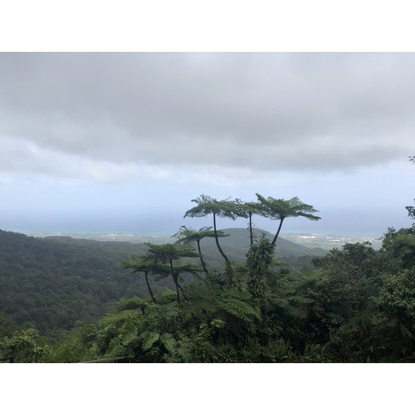 Picture Guadeloupe Carbet Falls 2021-02 48 - Center Carbet Falls