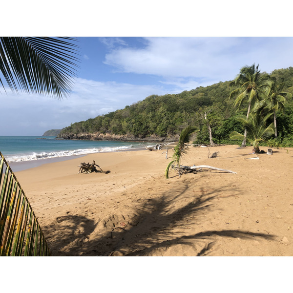 Picture Guadeloupe La Perle Beach 2021-02 21 - Tour La Perle Beach