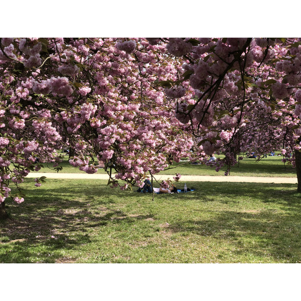 Picture France Parc de Sceaux 2019-04 82 - Tours Parc de Sceaux