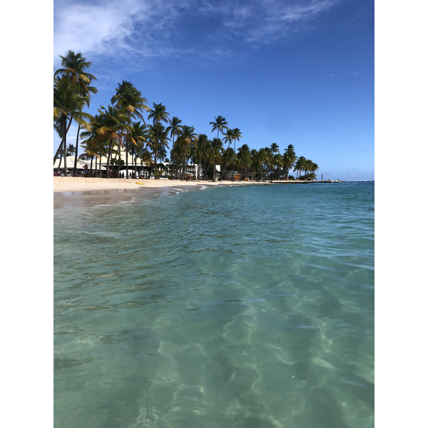 Picture Guadeloupe La Caravelle Beach 2021-02 110 - Discovery La Caravelle Beach