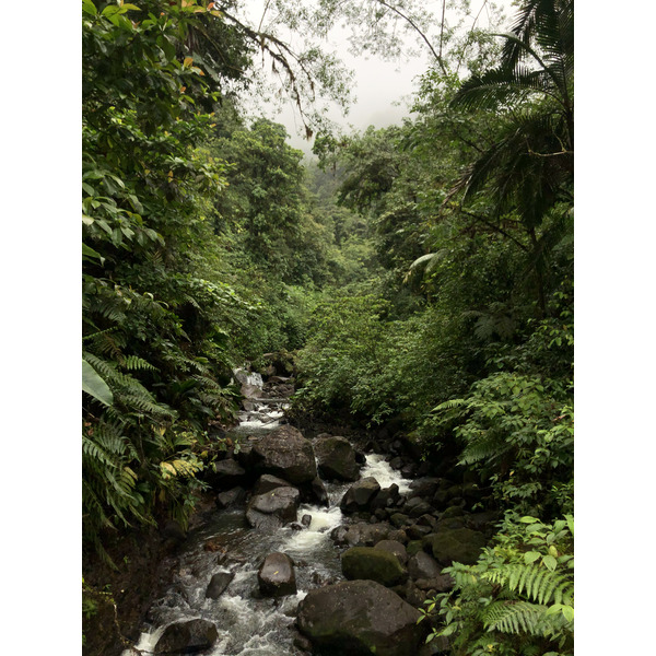 Picture Guadeloupe Carbet Falls 2021-02 62 - Center Carbet Falls