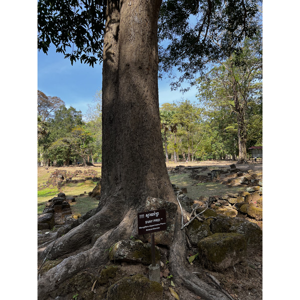 Picture Cambodia Siem Reap Angkor Thom 2023-01 81 - Tour Angkor Thom