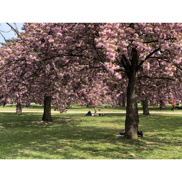 Picture France Parc de Sceaux 2019-04 94 - Center Parc de Sceaux