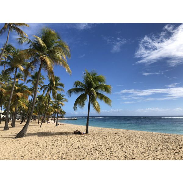 Picture Guadeloupe La Caravelle Beach 2021-02 139 - Center La Caravelle Beach