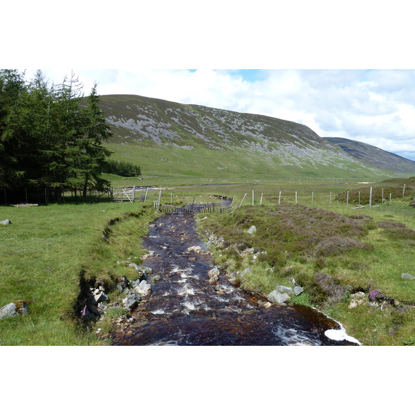 Picture United Kingdom Cairngorms National Park 2011-07 89 - Around Cairngorms National Park