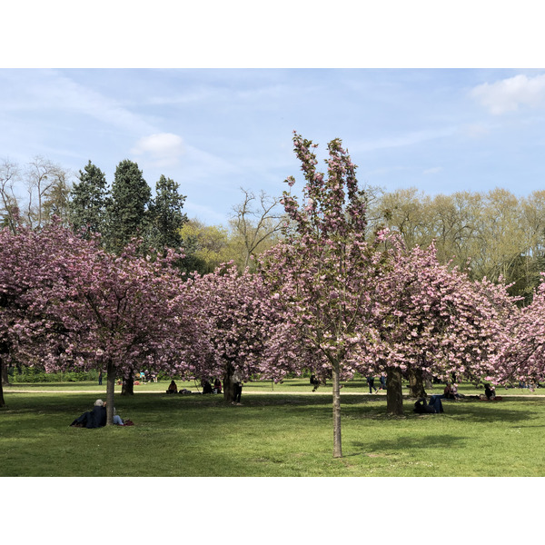 Picture France Parc de Sceaux 2019-04 0 - Recreation Parc de Sceaux