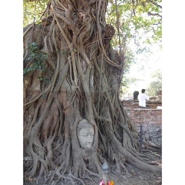 Picture Thailand Ayutthaya 2011-12 29 - Discovery Ayutthaya