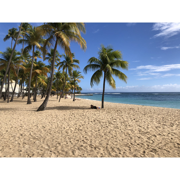 Picture Guadeloupe La Caravelle Beach 2021-02 153 - Recreation La Caravelle Beach