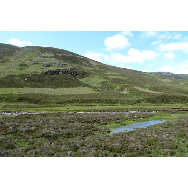 Picture United Kingdom Cairngorms National Park 2011-07 74 - Discovery Cairngorms National Park