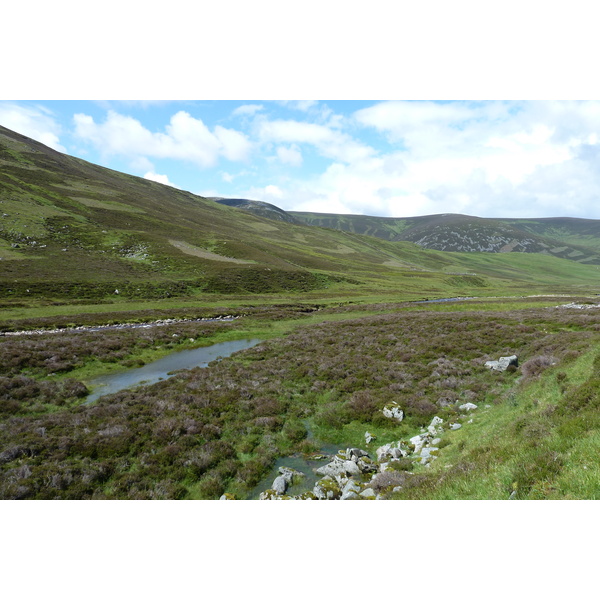 Picture United Kingdom Cairngorms National Park 2011-07 97 - Discovery Cairngorms National Park