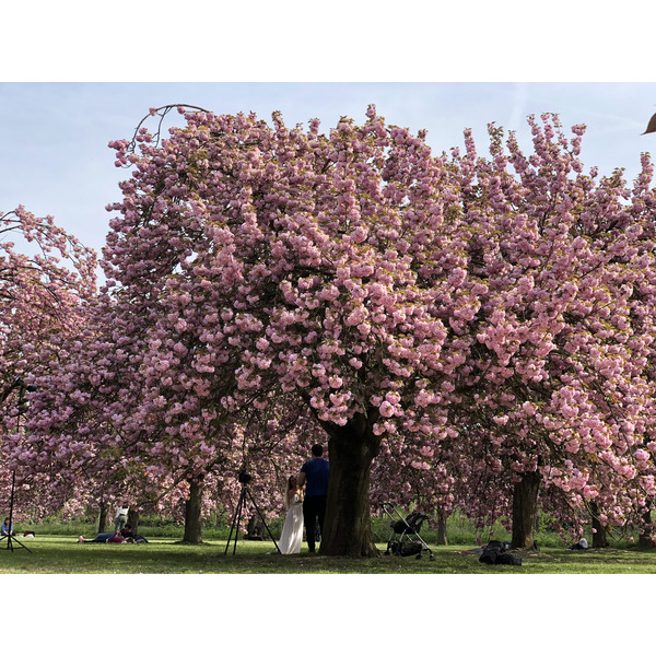 Picture France Parc de Sceaux 2019-04 31 - Journey Parc de Sceaux