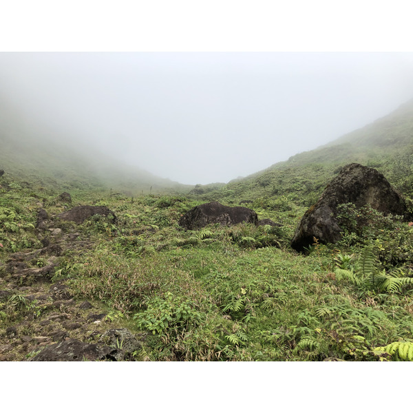 Picture Guadeloupe La Grande Soufriere 2021-02 56 - Tours La Grande Soufriere