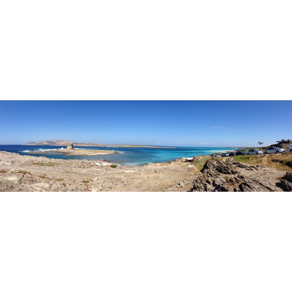 Picture Italy Sardinia Capo del Falcone 2015-06 45 - Around Capo del Falcone